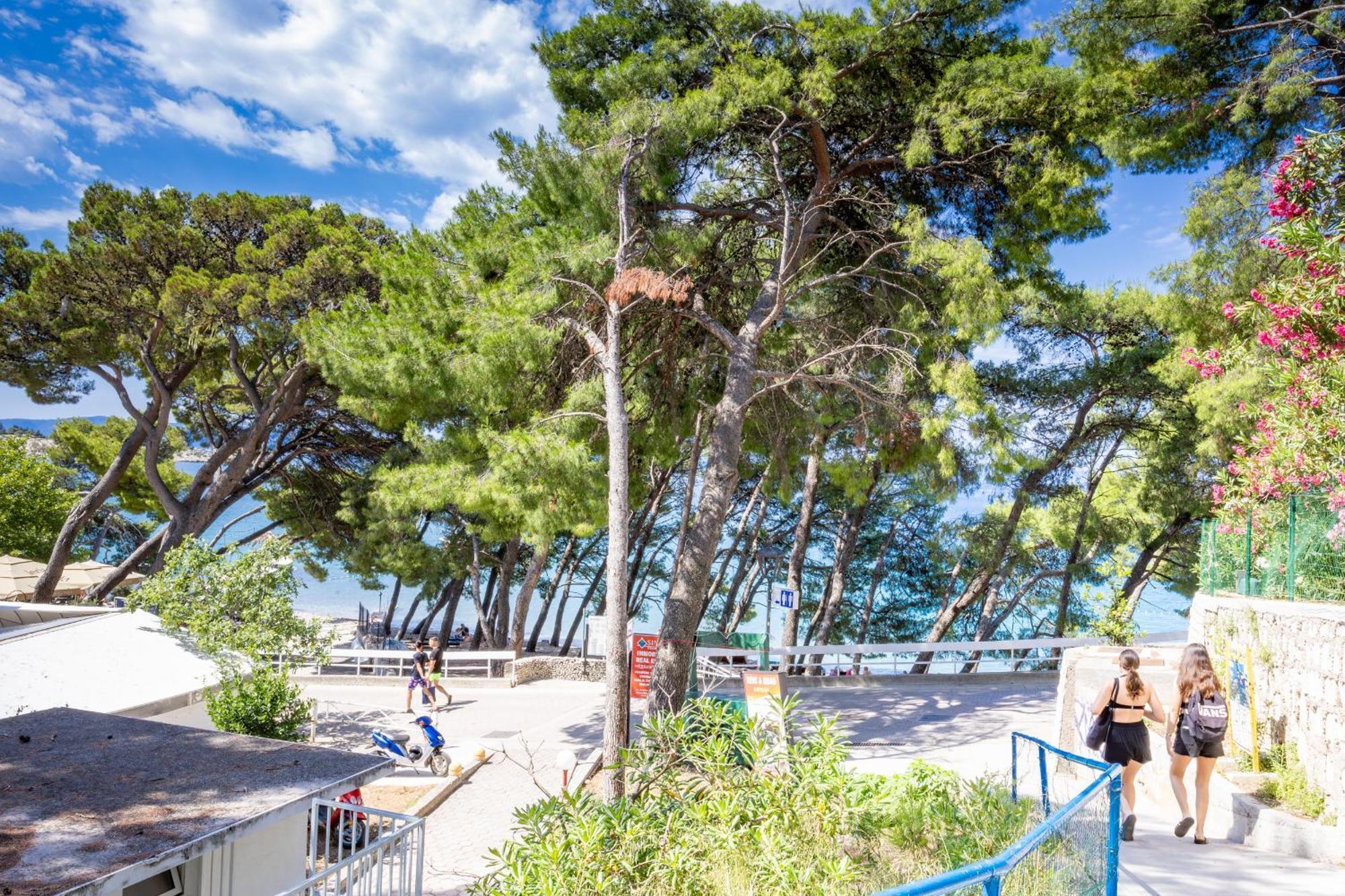 Apartment Beachfront Pebble Srzic Makarska